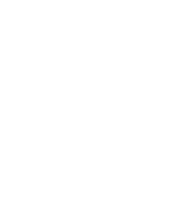 CrossFit 272